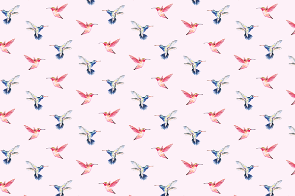 蜂鳥圖案