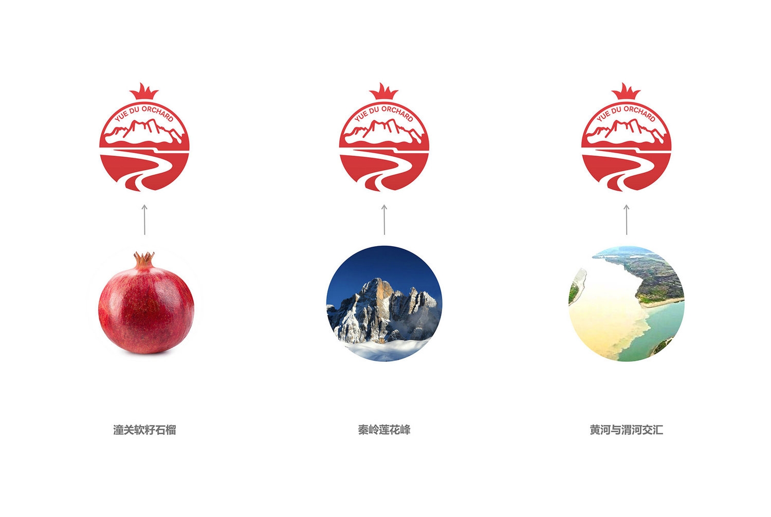2潼關(guān)軟籽石榴logo設(shè)計-厚啟包裝設(shè)計