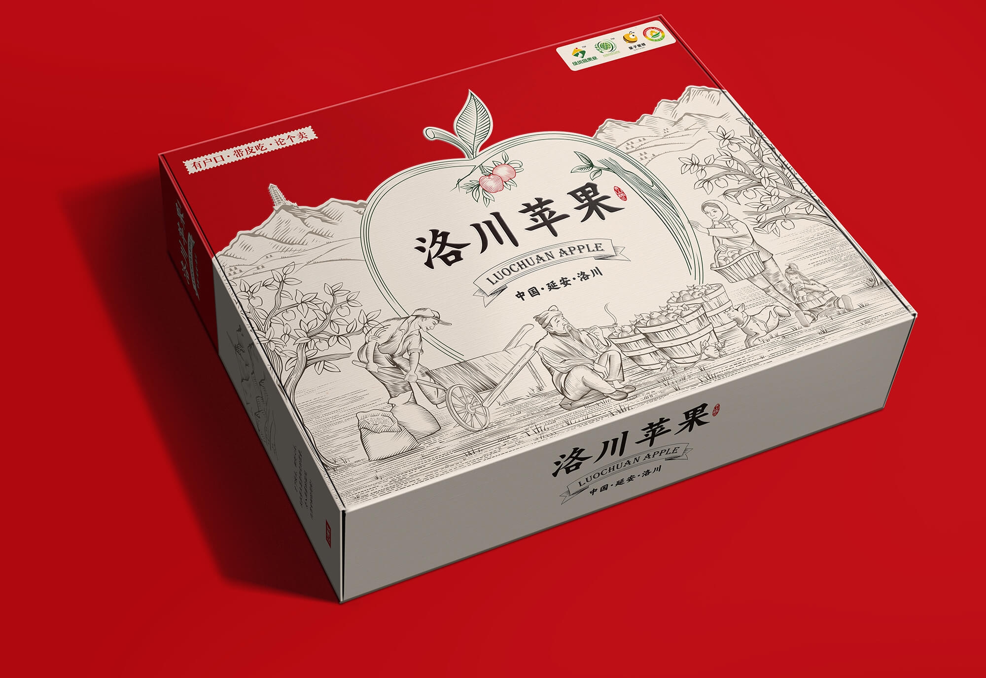 洛川蘋果效果圖04 (1).jpg-厚啟包裝設(shè)計