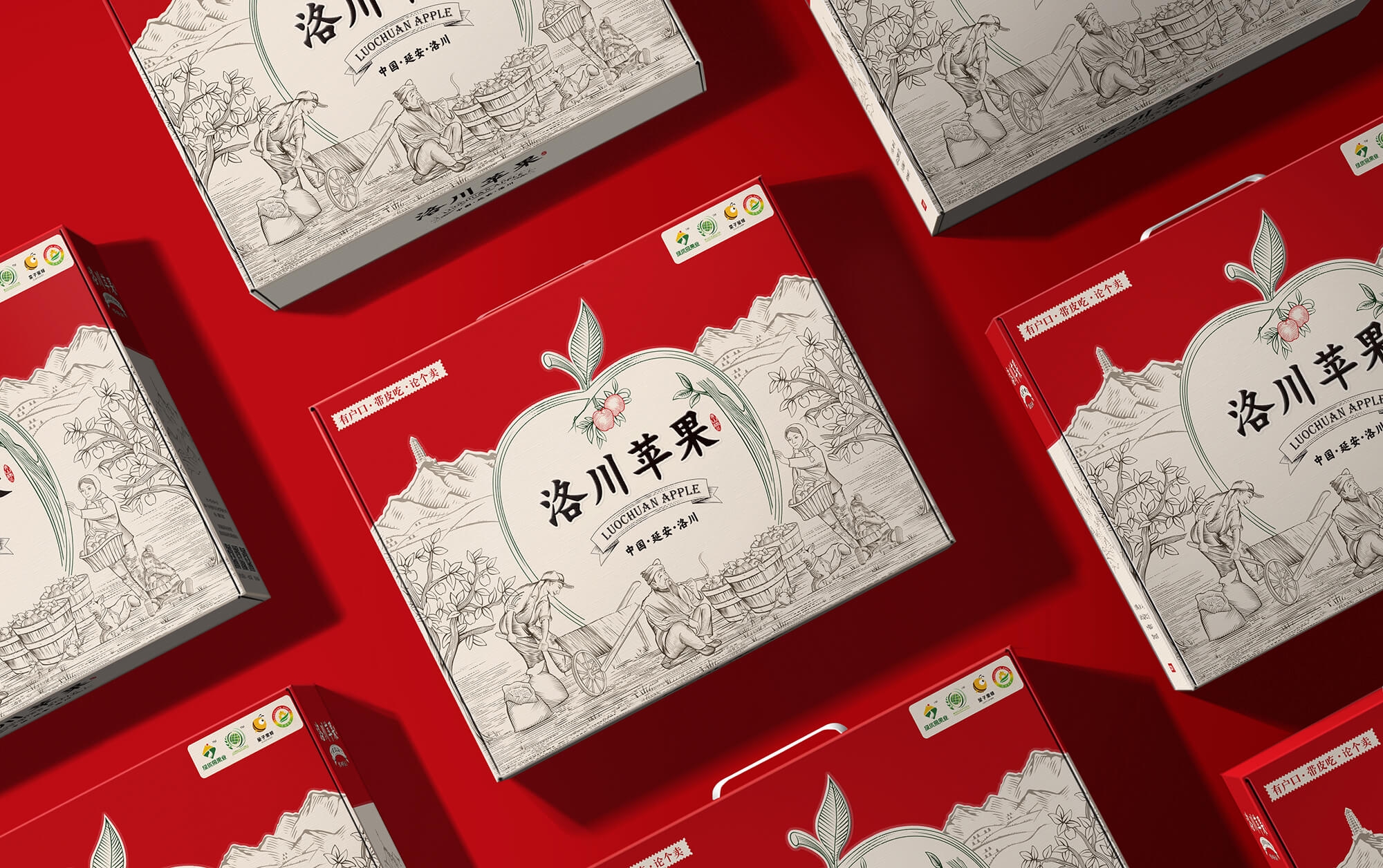 洛川蘋果效果圖07 (1).jpg-厚啟包裝設(shè)計