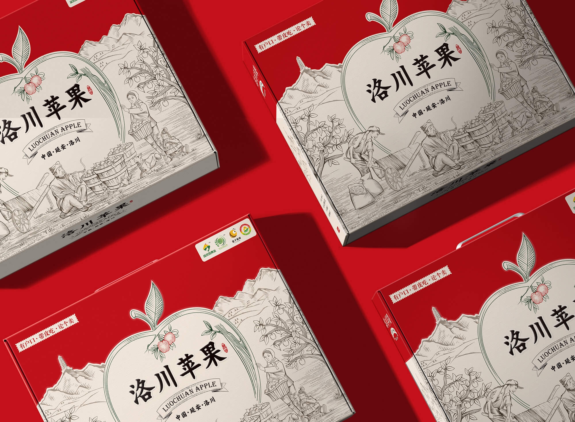 洛川蘋果效果圖08 (1).jpg-厚啟包裝設(shè)計